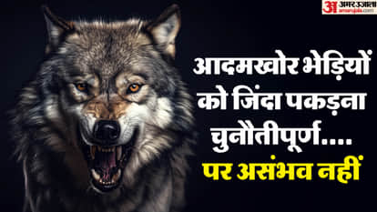 Six wolves killed three caught alive by forest officials in UP demand for inclusion in endangered species list