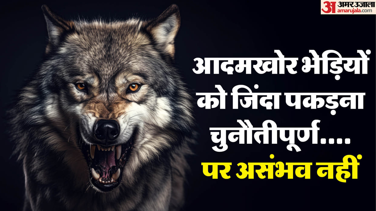 Six wolves killed three caught alive by forest officials in UP demand for inclusion in endangered species list