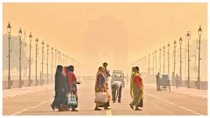 Delhi's wholesale trade has fallen due to pollution traders' association claims people are not coming to buy.