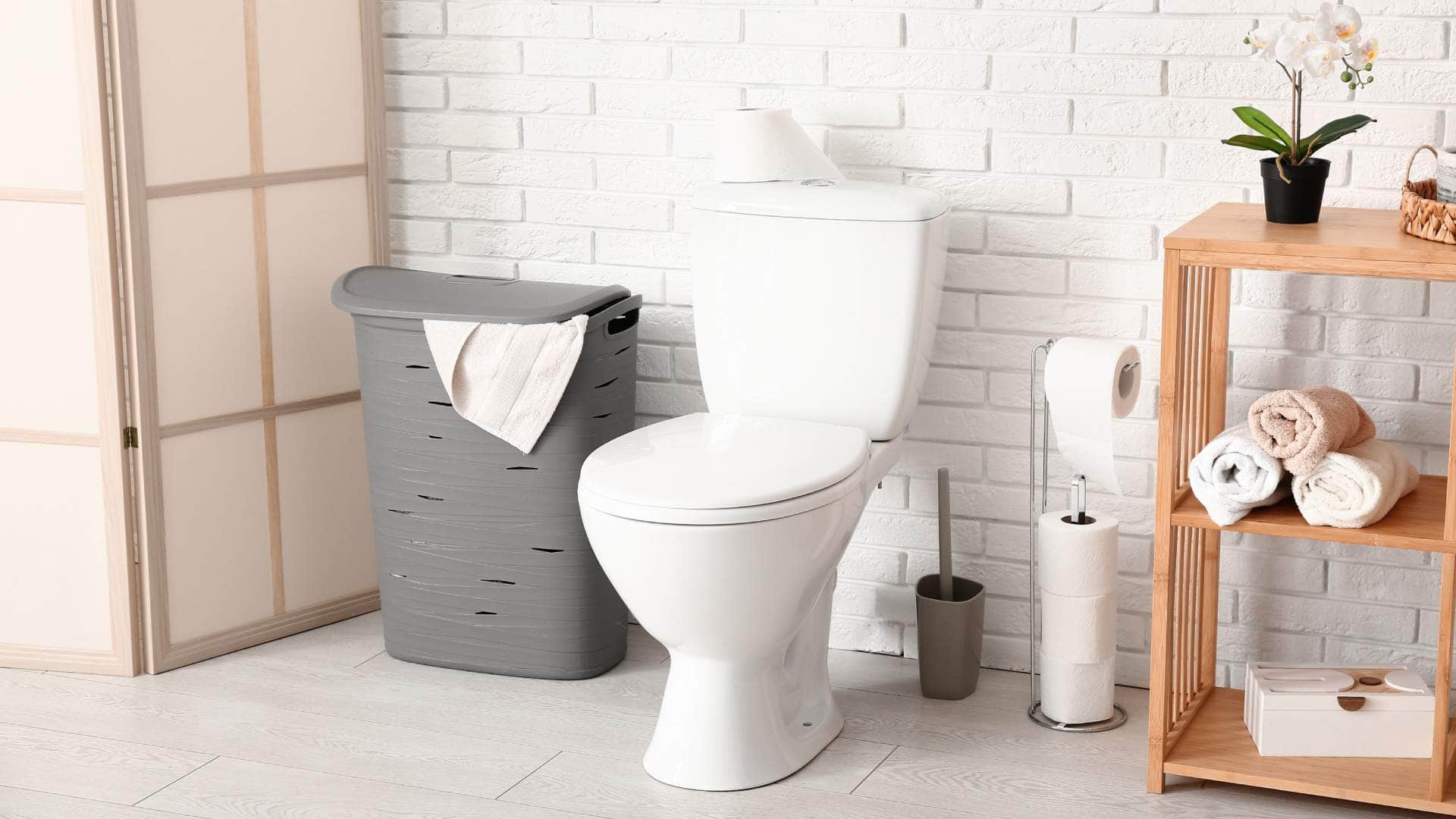 Vastu tips for bathroom mirror right direction and place to maintain peace and happiness in the home