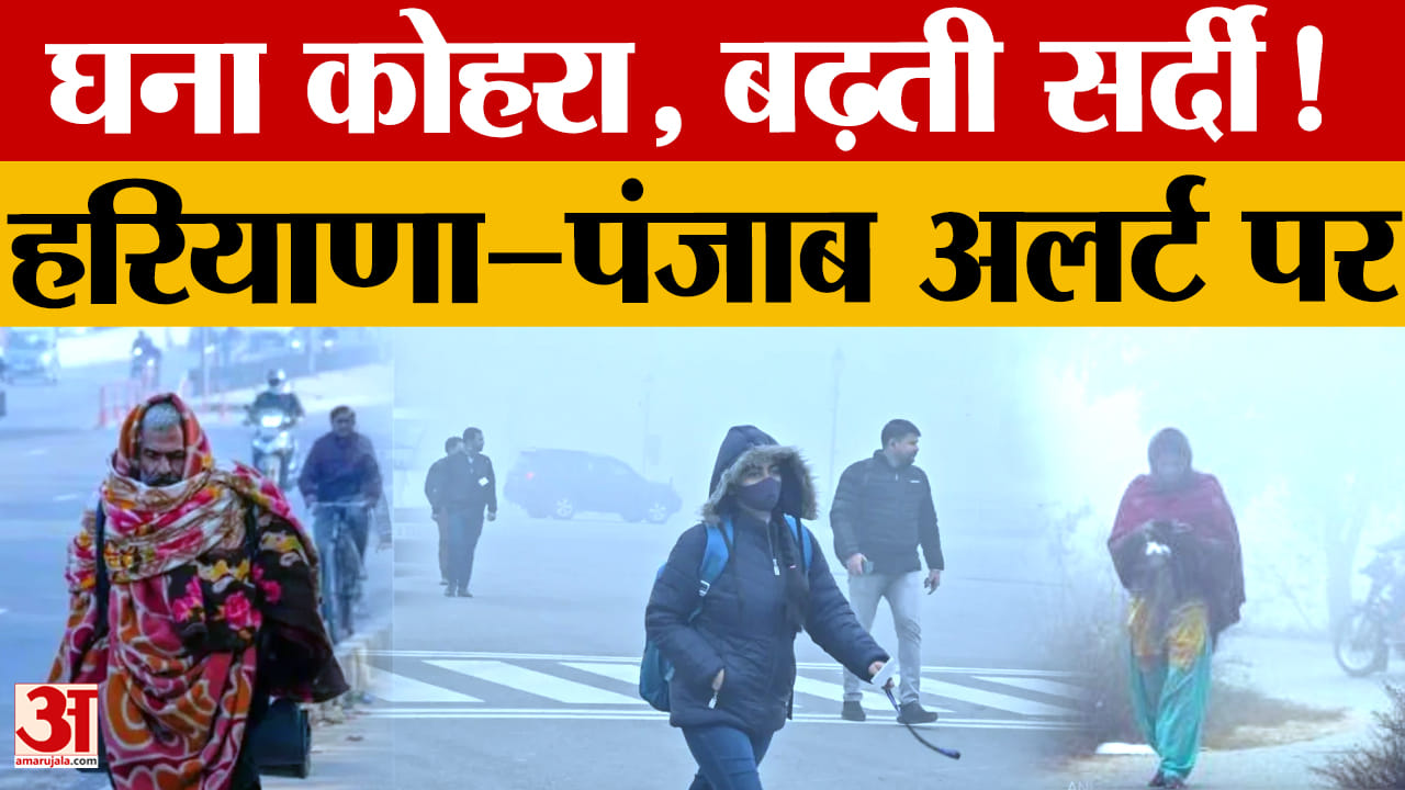 हरियाणा–पंजाब में घना कोहरा
