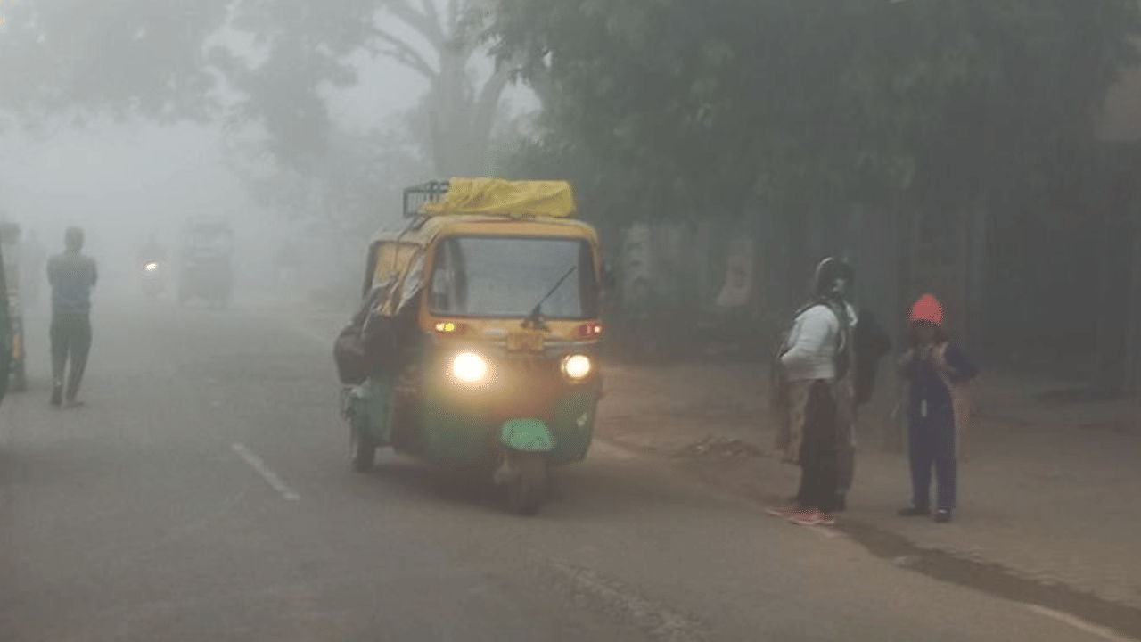कोहरे के बीच स्कूल जाते बच्चे