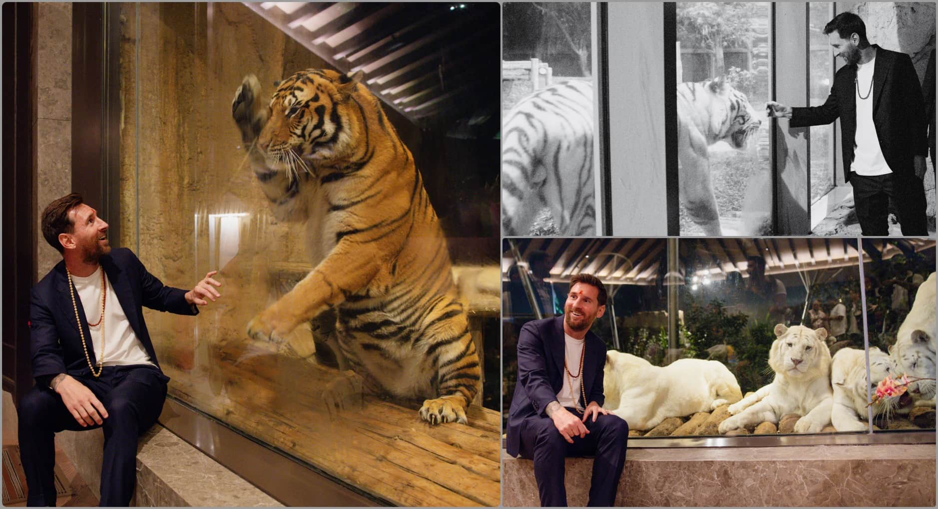 Lionel Messi unique style was on display in Vantara, played football with elephant; dazzling in Indian attire