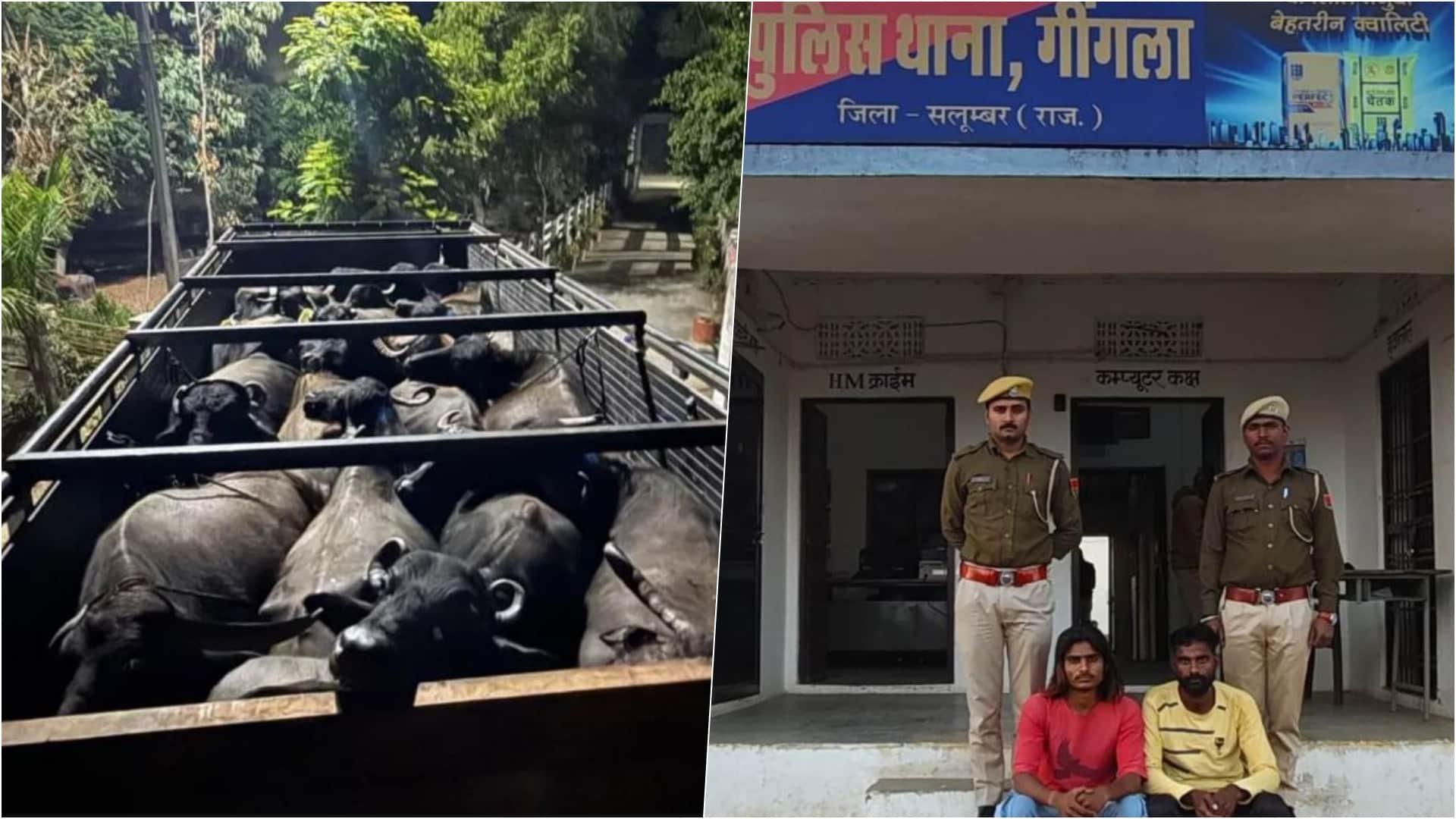 पुलिस की गिरफ्त में आरोपी