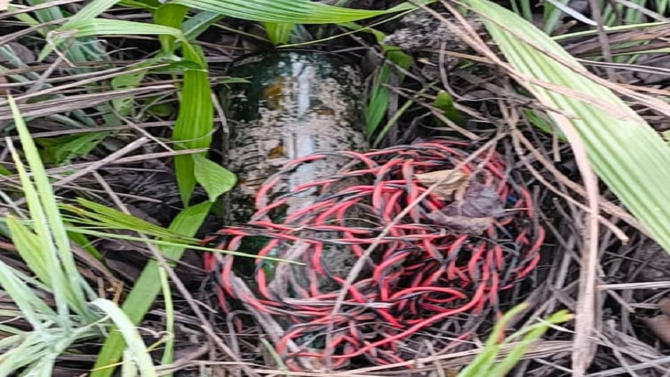pressure IED was recovered thanks to the vigilance of the CRPF 214th battalion and was destroyed on spot in Bi