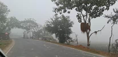 Bihar Weather: Intense cold wave in Bihar, fog alert until December 20; school timings affected.