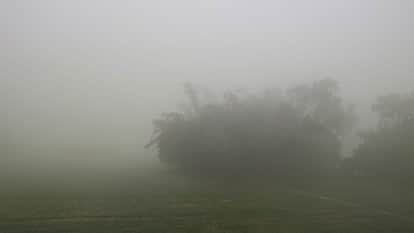 Bihar Weather: Intense cold wave in Bihar, fog alert until December 20; school timings affected.