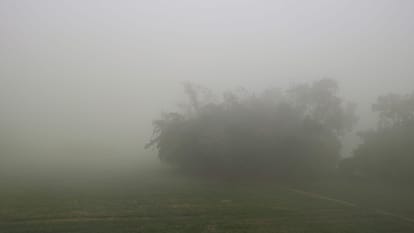 Bihar Weather: Intense cold wave in Bihar, fog alert until December 20; school timings affected.