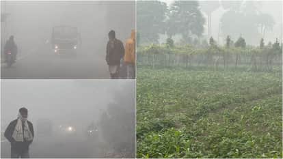 Bihar Weather: Cold increased due to westerly wind, dense fog disrupted life in Samastipur