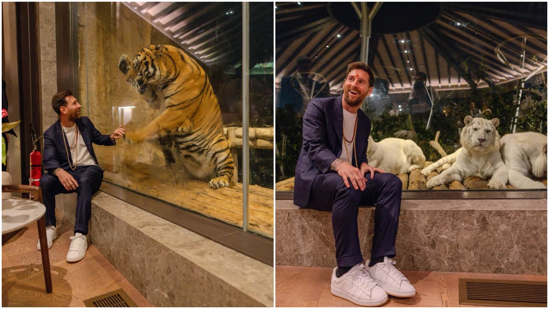 Lionel Messi in Vantara: Performed Shiva Abhishek with Anant Ambani in Vantara pictures