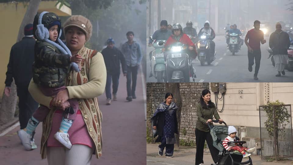 cold intensifies due fog, life comes to standstill,Trains are running hours late, Moradabad DM issues alert