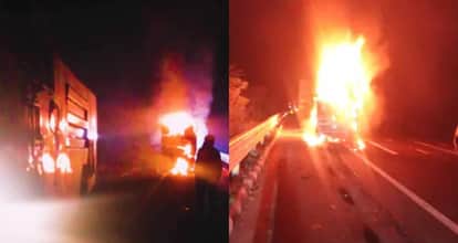 alwar delhi mumbai expressway road accident many burned alive 1 injured jaipur