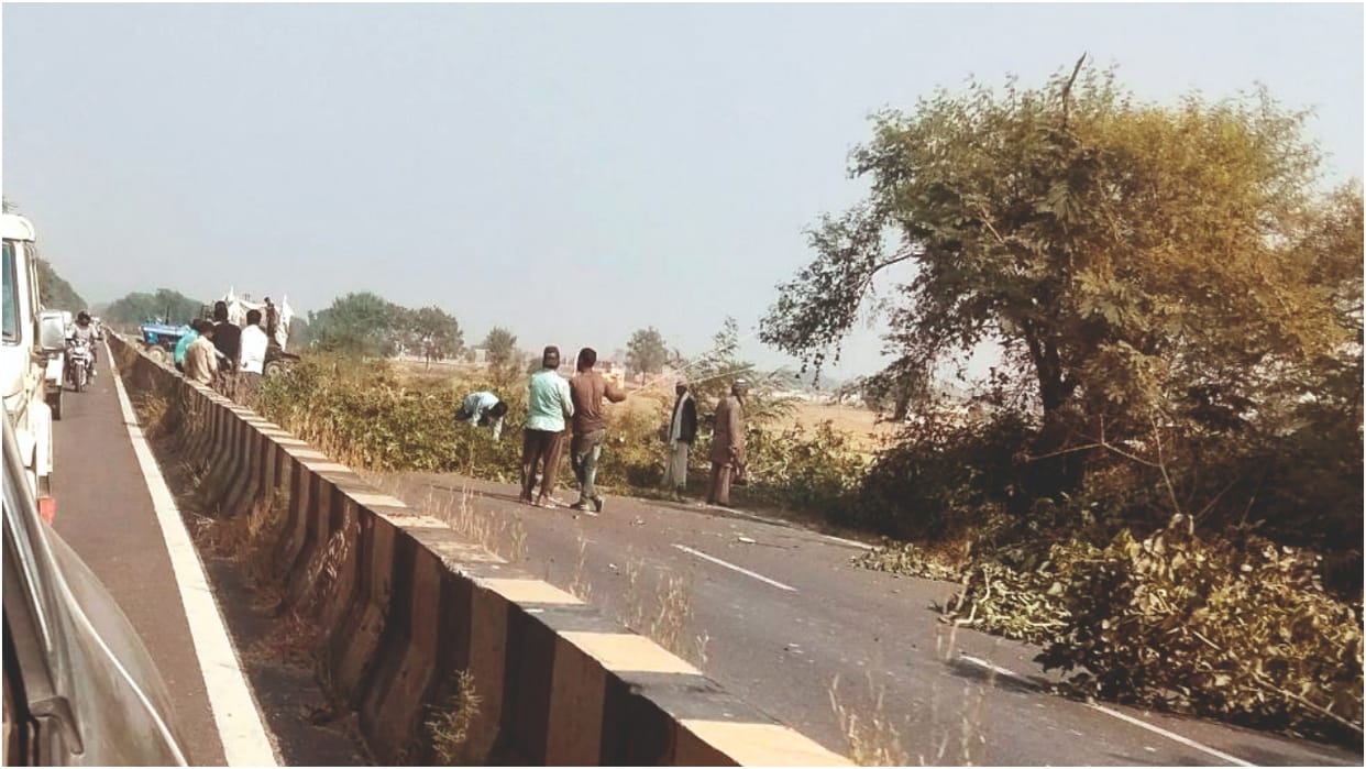 five thousands trees cut down for the highway in Bareilly