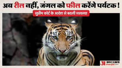 Mobile Phone Ban Enforced in Bandhavgarh Tiger Reserve Core Area