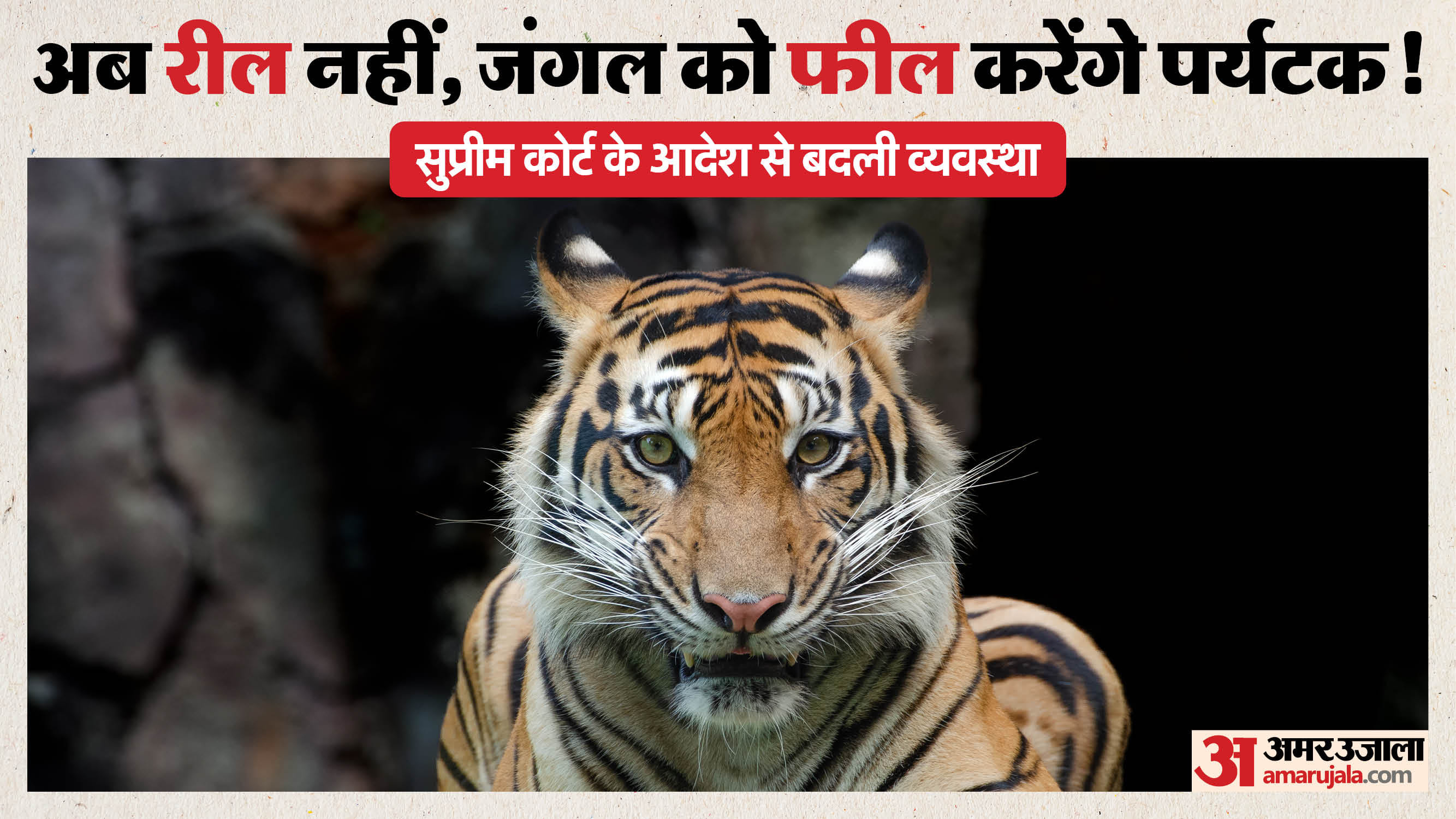बांधवगढ़ टाइगर रिजर्व में नए नियम लागू।