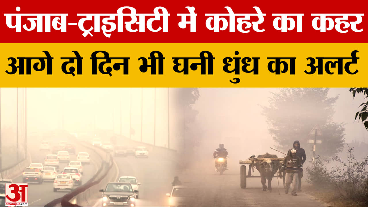 पंजाब और ट्राइसिटी में घने कोहरे की चेतावनी,मौसम विभाग ने जारी किया अलर्ट