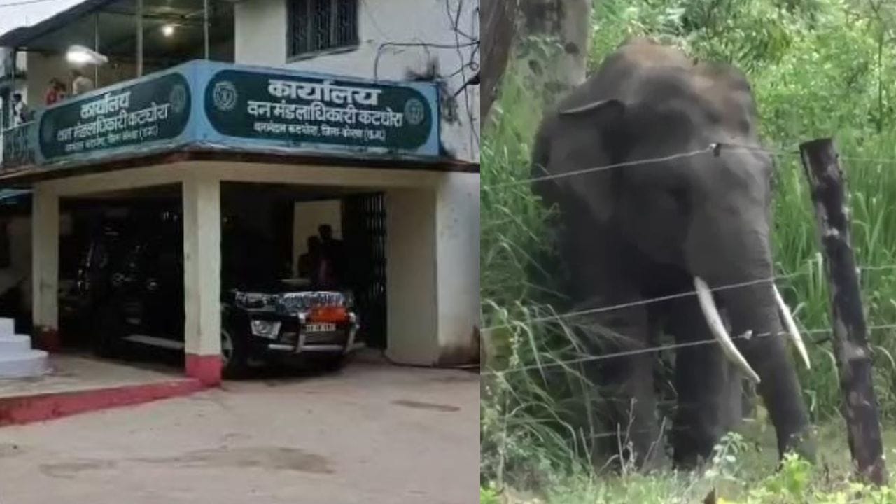 कोरबा में महिला की कुचलकर मौत