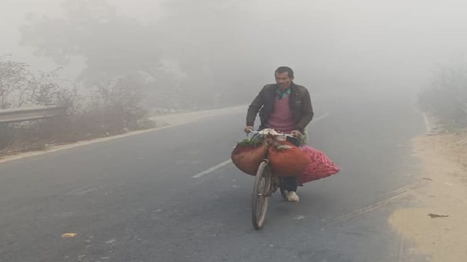 cold increase and fog in kasganj