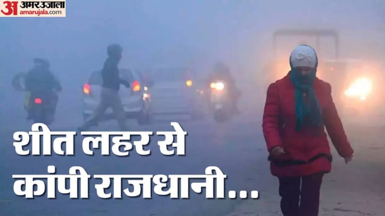 UP Weather: The entire state is gripped by fog...people shiver due to the biting cold; Red alert issued for th