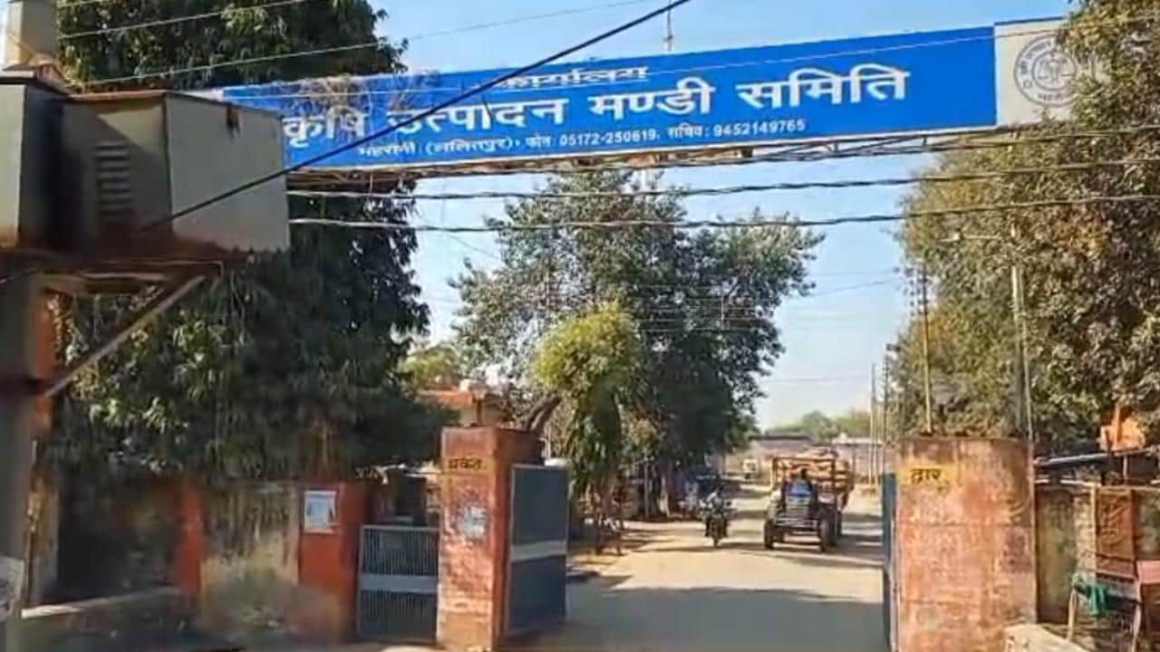 महरौनी गल्ला मंडी से निकलता ट्रैक्टर