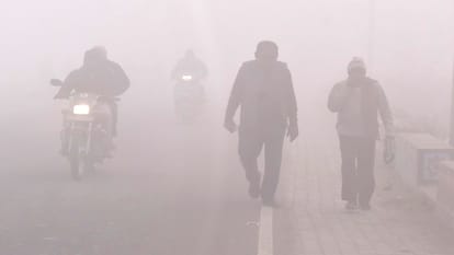 Prayagraj Weather The sun was not visible throughout the day, people shivered in their homes