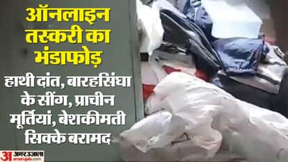 Ajmer News: Online Wildlife Trafficking and Illegal Sale of Historic Artifacts Exposed, Large Cache Seized