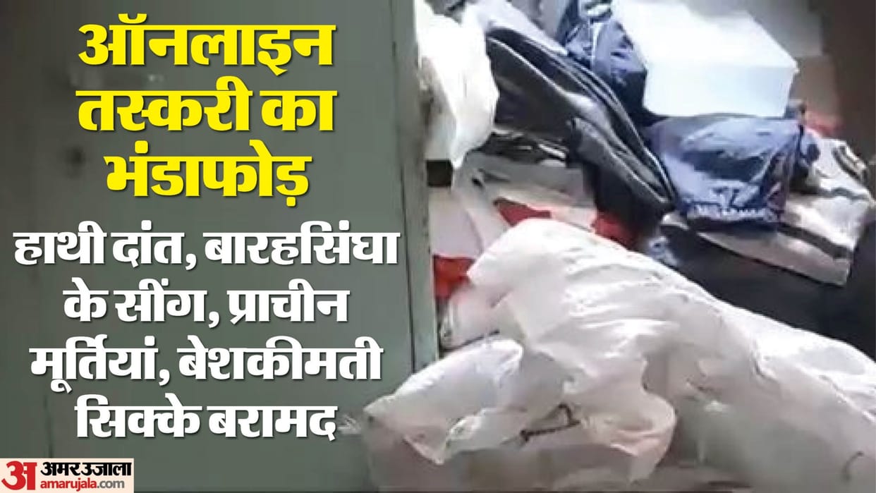 Ajmer News: Online Wildlife Trafficking and Illegal Sale of Historic Artifacts Exposed, Large Cache Seized