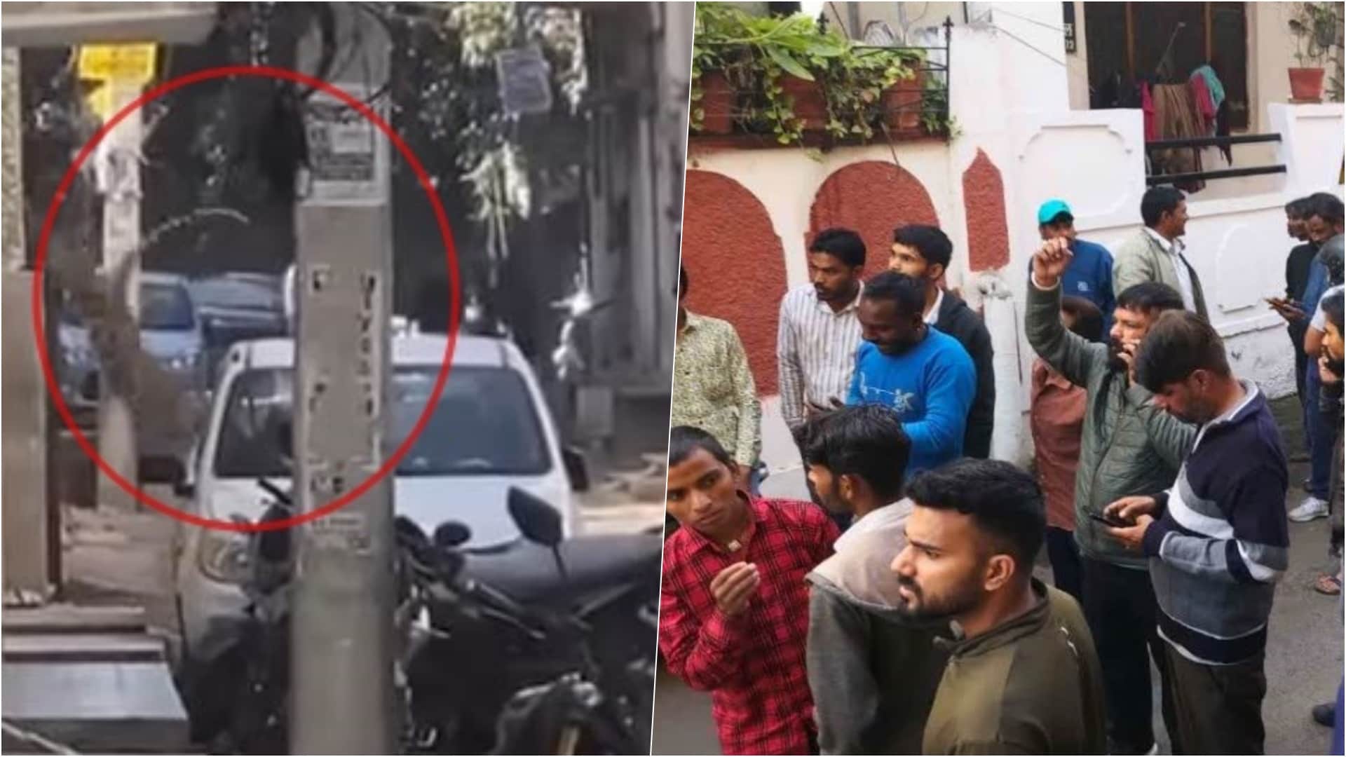 भूपालपुरा इलाके में पैंथर आने से फैली दहशत