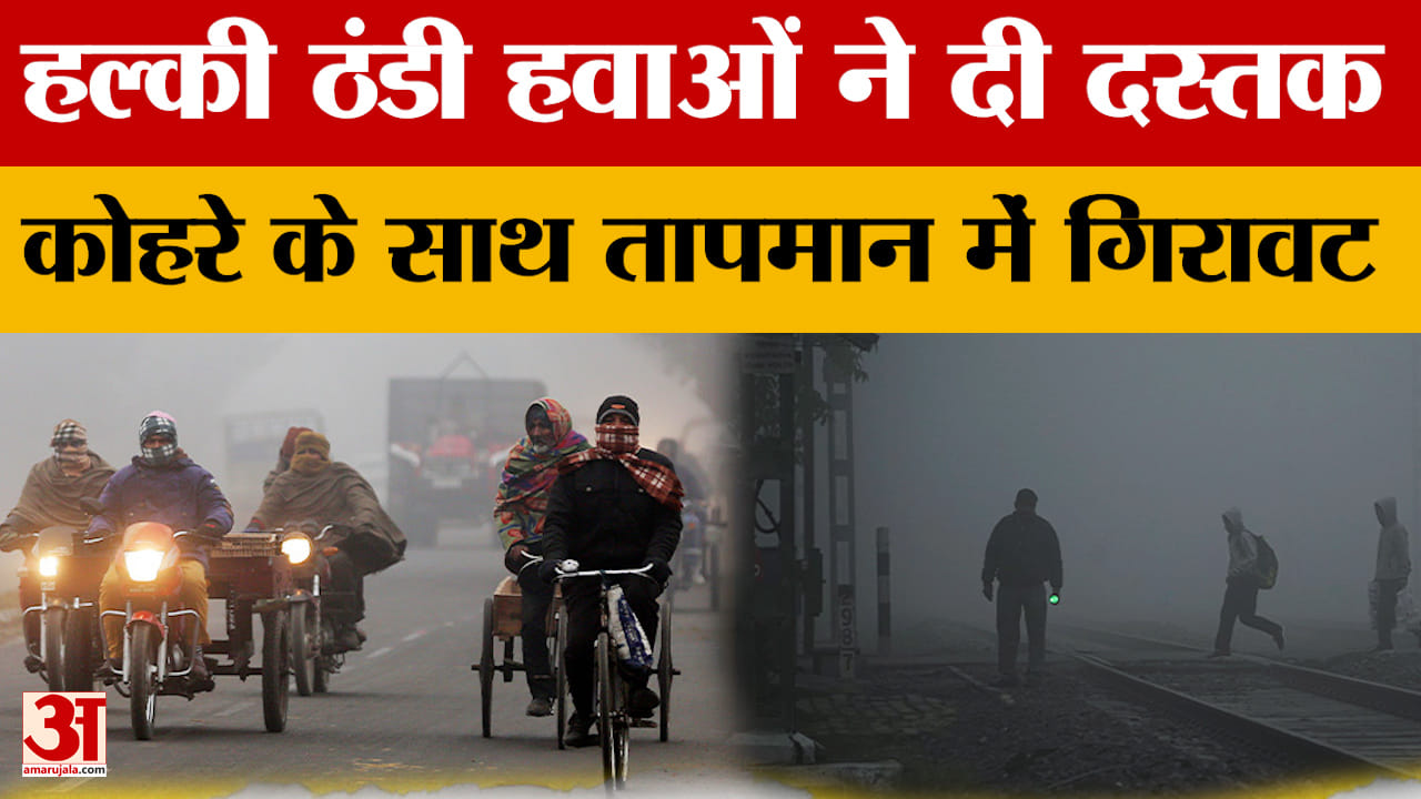 Rajasthan Weather News: कोहरा और ठंडी हवाओं से बढ़ी गई है सर्दी, शेखावाटी से लेकर जयपुर तक बढ़ी सर्द