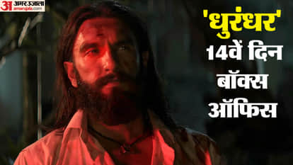 Dhurandhar Day 14 Box Office Collection: Ranveer Singh Sanjay Dutt Akshaye Khanna Spy Actioner Film Earning