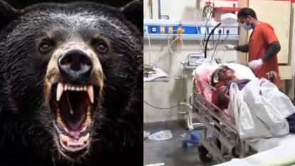 Dehradun News Sushila fought off two bears and returned from brink of death saving her life in this way