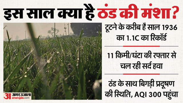 फसलों पर ओस की बूंदें।