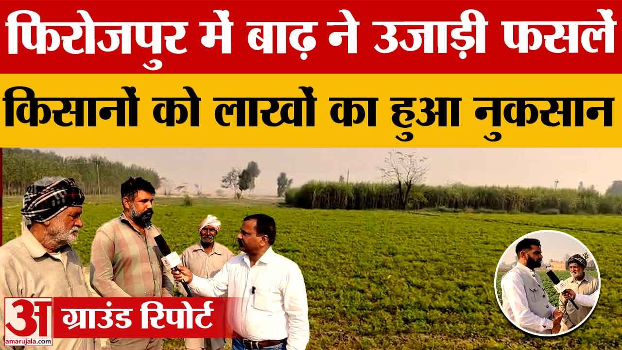 बाढ़ ने तबाह की गाजर–आलू की फसल, 300 एकड़ से ज्यादा जमीन बर्बाद, किसानों को लाखों का नुकसान