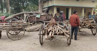 munger timber smuggling forest department team attacked stone pelting forest staff injured