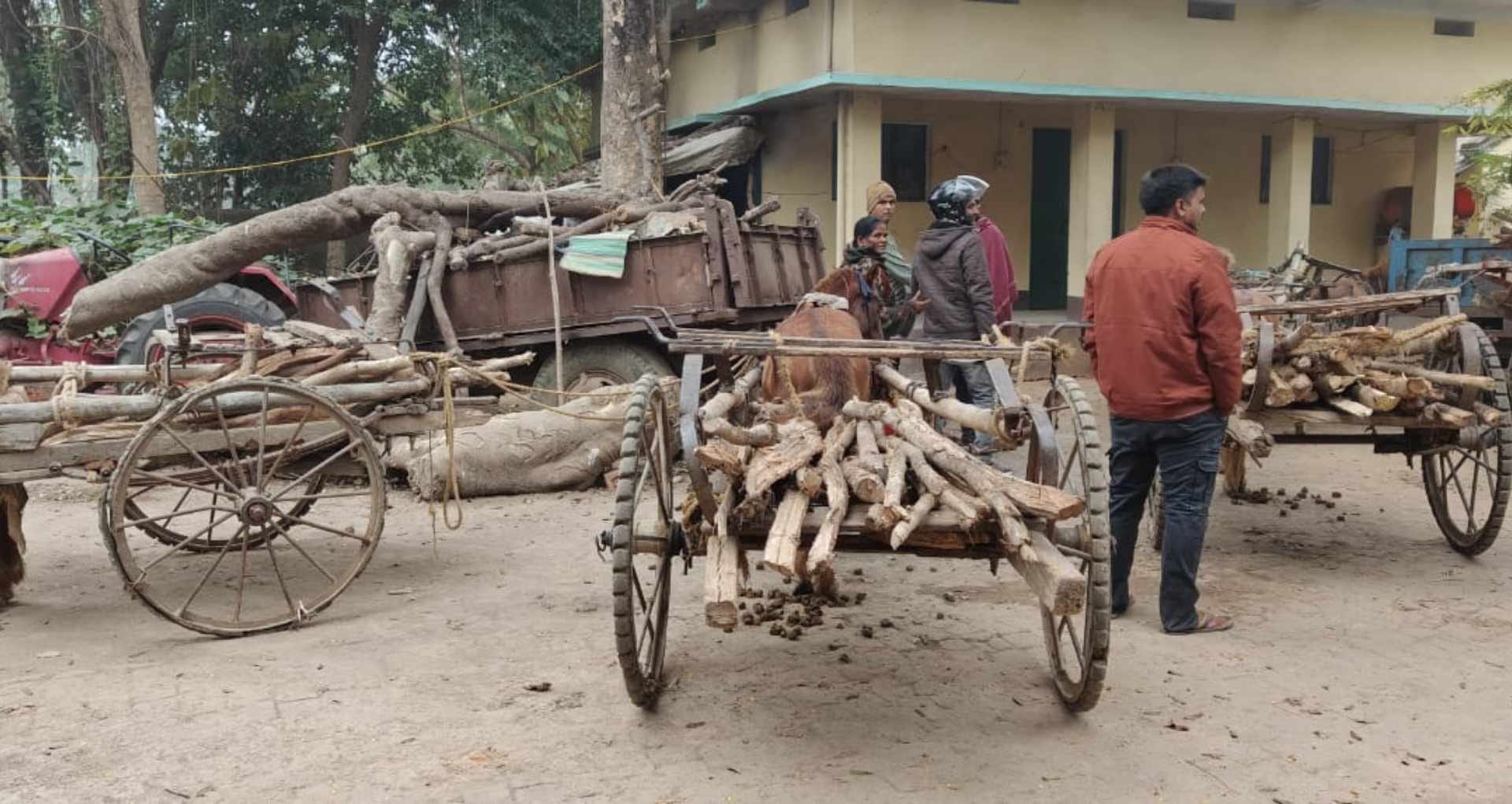 लकड़ी तस्करी रोकने गई वन टीम पर पथराव