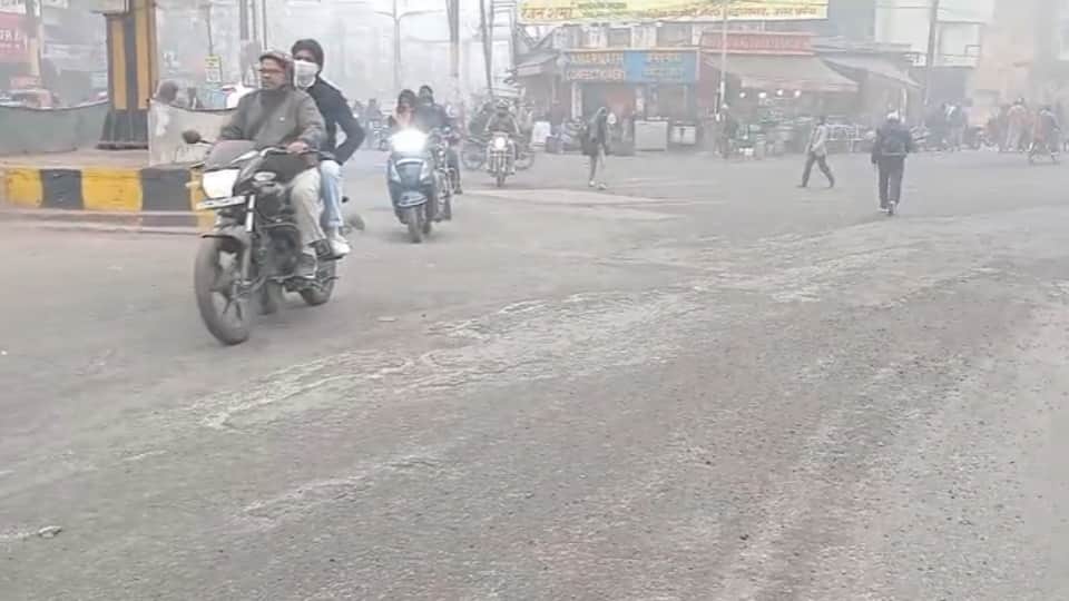 Cold Wave & Dense Fog Grip Meerut, Humans and Animals Struggle for Warmth