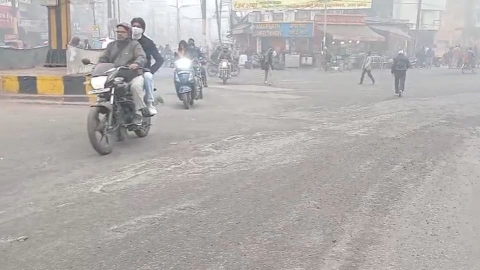 Cold Wave & Dense Fog Grip Meerut, Humans and Animals Struggle for Warmth