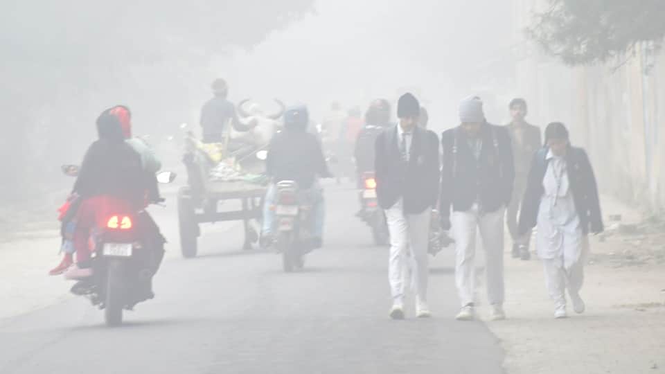 Fog in Uttar Pradesh: Schools closed for three days in Sambhal, daily life affected in Moradabad division