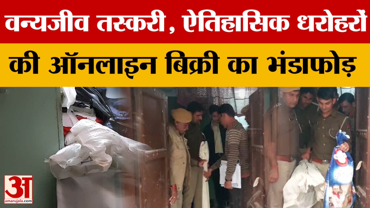 Online Wildlife Trafficking: वन्यजीव तस्करी एवं ऐतिहासिक धरोहरों की ऑनलाइन बिक्री का भंडाफोड़ | Ajme