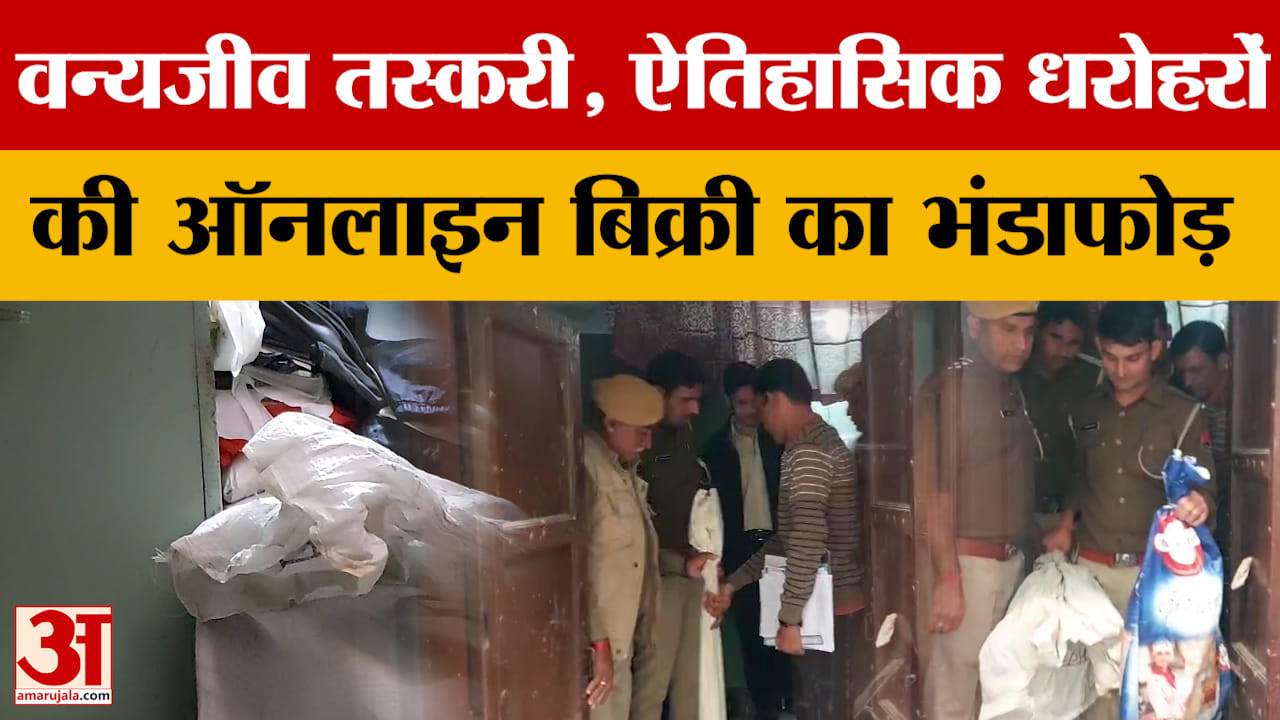 Online Wildlife Trafficking: वन्यजीव तस्करी एवं ऐतिहासिक धरोहरों की ऑनलाइन बिक्री का भंडाफोड़ | Ajme