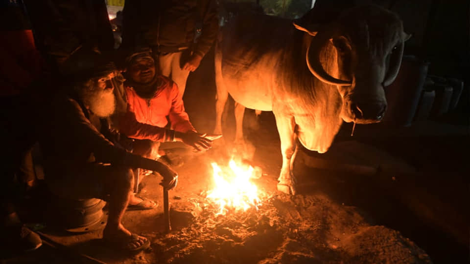 Weather Update: Cold wave to intensify in Kanpur, fog and chill to increase