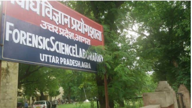 Yamuna Expressway Tragedy: Bodies Burnt Beyond Recognition DNA Tests to Identify 15 Victims