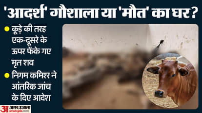 Gwalior News: 15 cows die at Adarsh Gaushala in Lal Tipara.