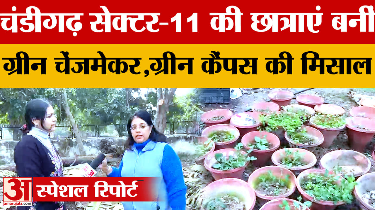 चंडीगढ़ पीजीजीसीजी सेक्टर 11 की छात्राएं वर्मीकम्पोस्टिंग से पर्यावरण संरक्षण में दे रही हैं योगदान