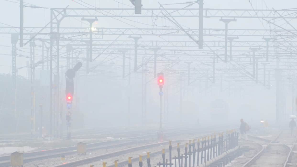 Punjab Fog-fueled cold wave intensifies chill