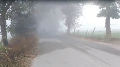 Severe cold in Haryana Weather Report Fog in Haryana