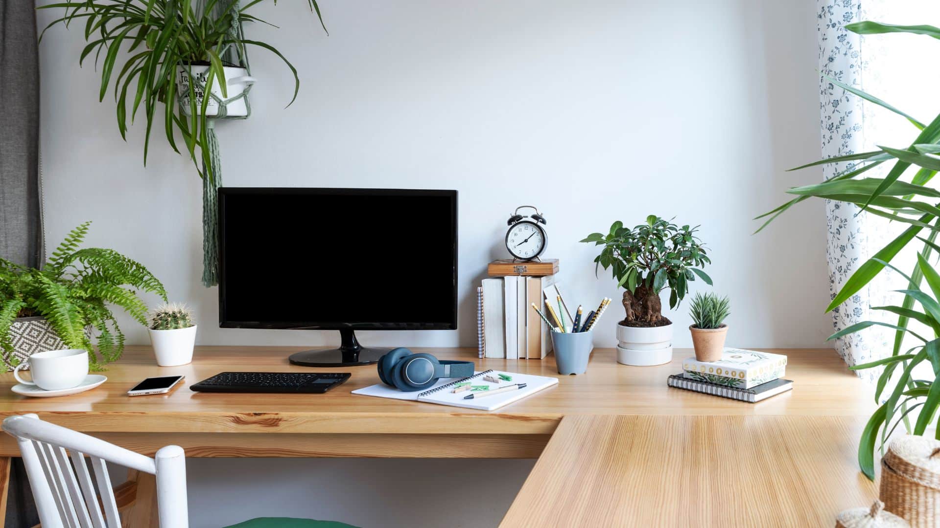 Does planting plants at home reduce indoor pollution Learn what the study say