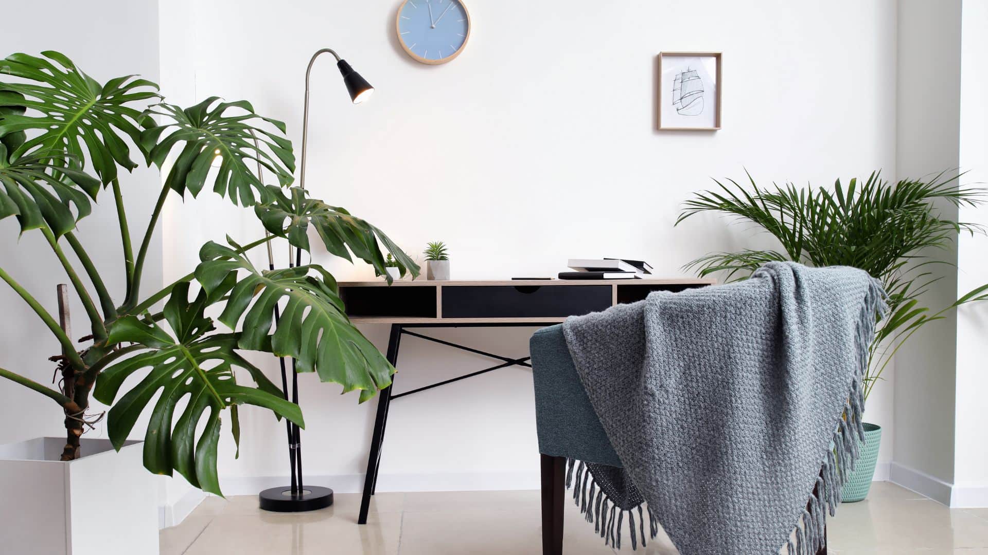 Does planting plants at home reduce indoor pollution Learn what the study say