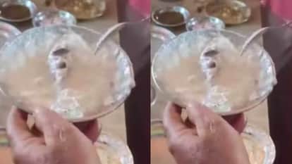 A dead rat was found on the Curd plate The video of the dhaba went viral and caused a stir