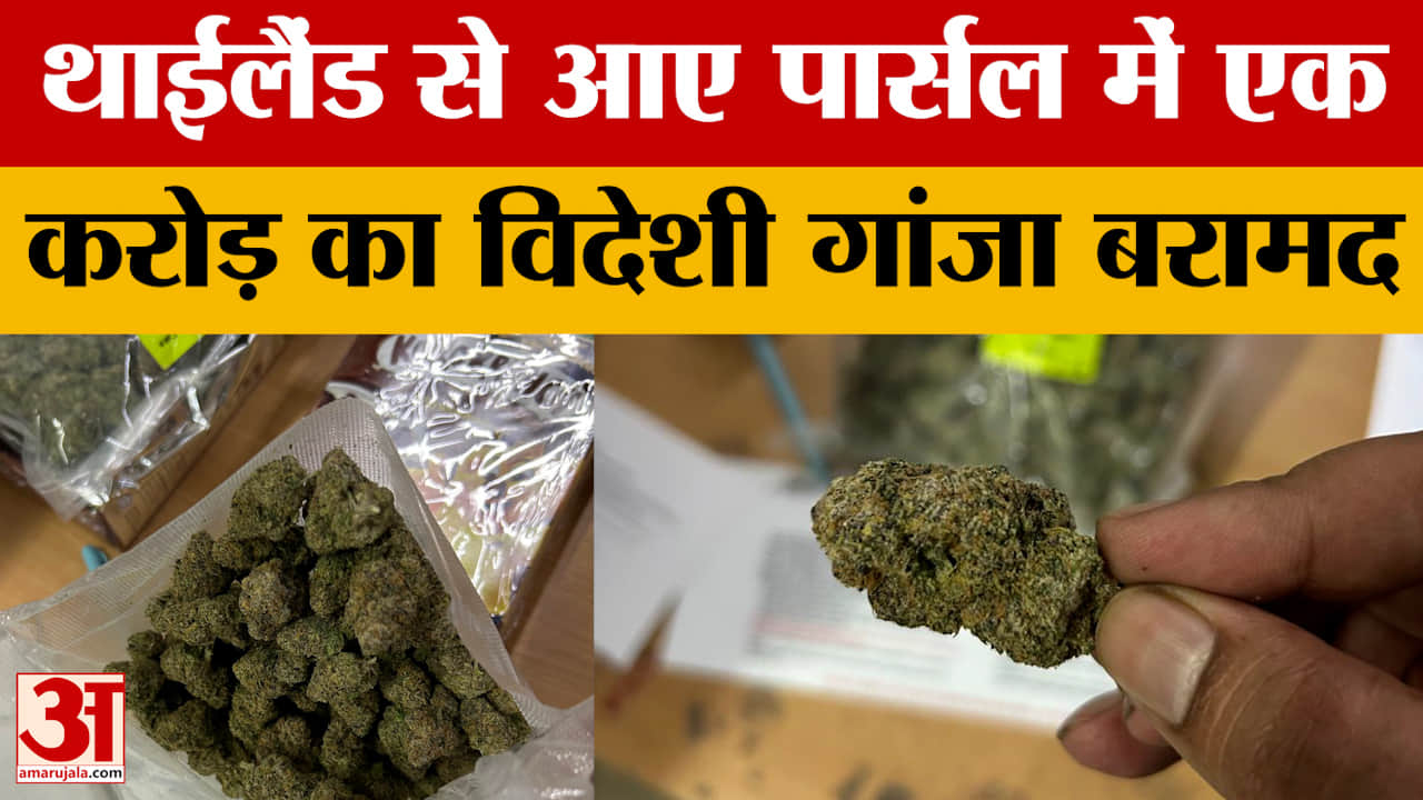 Kota Crime News: थाईलैंड से आया एक करोड़ का विदेशी गांजा जब्त, जयपुर FPO पर CNB की बड़ी कार्रवाई